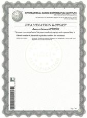 Certificate VIZION CE-410-2