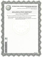 Certificate VIZION CE-500-2