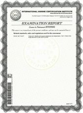 Certificate VIZION CE-560