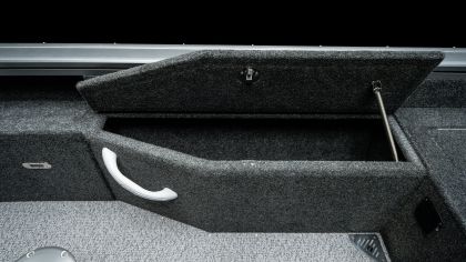 vizion 440rs details