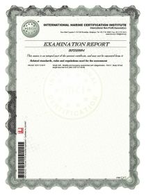 Certificate VIZION CE-500-2