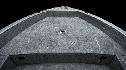 vizion 500rs details