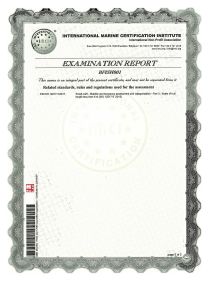 Certificate VIZION CE-440-2