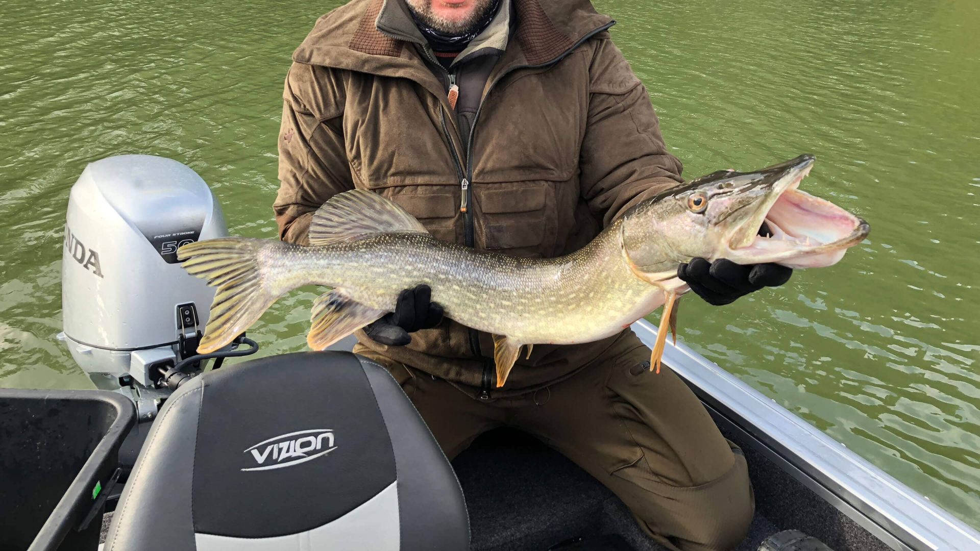 VIZION FAQ & Ask For Help