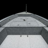 vizion 440rs details