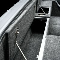 vizion 500rs details