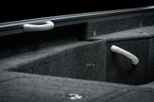 vizion 440rs details