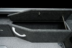 vizion 440rs details