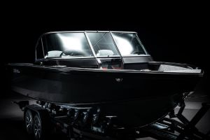 MOTORBOAT VIZION 650
