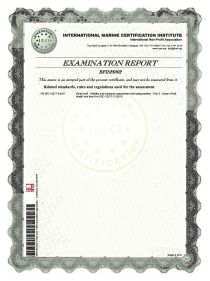 Certificate VIZION CE-470-2