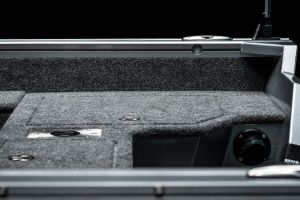 vizion 440rs details