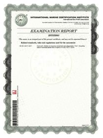 Certificate VIZION CE-600-2