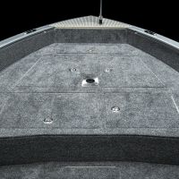 vizion 500rs details